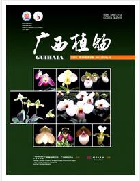 广西植物杂志北大核心期刊论文格式