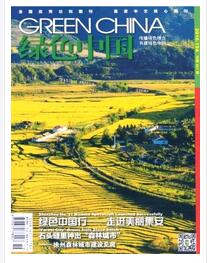 绿色中国A版杂志国家级期刊征收