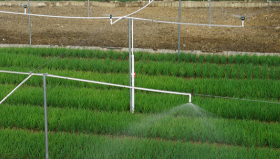 小型农田水利管理与维护措施