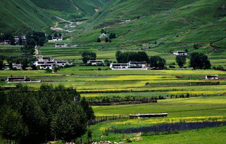 影响中国农村经济发展的要素研究